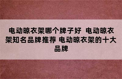 电动晾衣架哪个牌子好  电动晾衣架知名品牌推荐 电动晾衣架的十大品牌